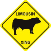 COW LIMOUSIN