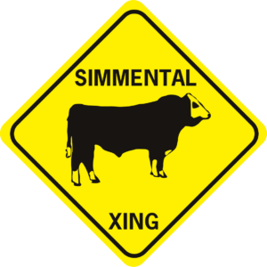 cow simmental