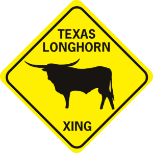 COW TEXAS LONGHORN