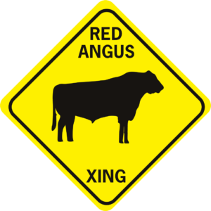 COW RED ANGUS