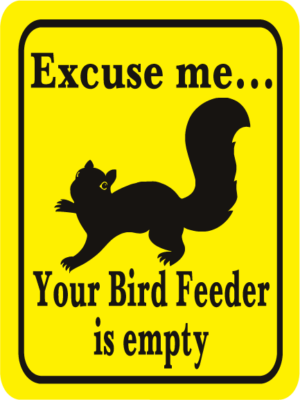 Excuse Me Your Bird Feeder is Empty