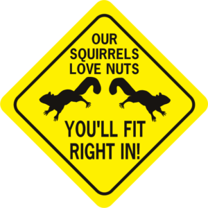 Our Squirrels Love Nuts diamond