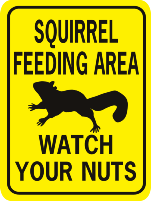 Squirrel feeding Area Watch Your Nuts