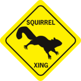 Squirrel Xing Diamond