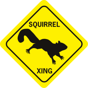 Squirrel Xing Diamond