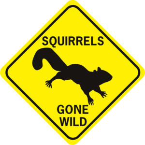 Squirrels Gone Wild diamond