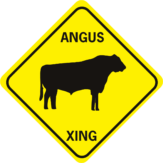 COW ANGUS