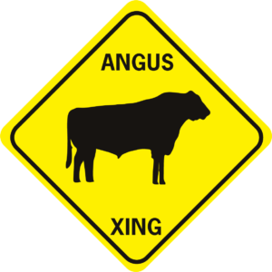 COW ANGUS