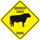 COW ABERDEEN ANGUS