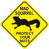 mad squirrel protect your nuts diamond