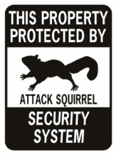 This Property Protected by Attack Squirrel