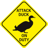Duck Attack Duck On Duty