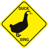 Duck Xing cut out face