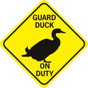 Duck Guard Duck On Duty