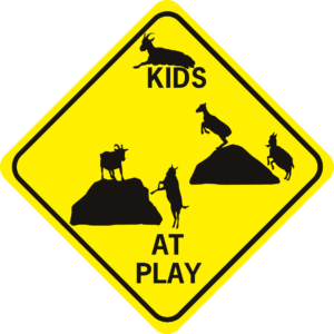 goat Kids at Play diamond 5 goats