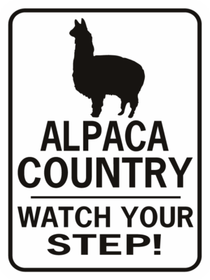 ALPACA COUNTRY WATCH YOUR STEP RECTANGLE