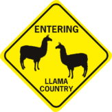 Llama Entering Llama Country