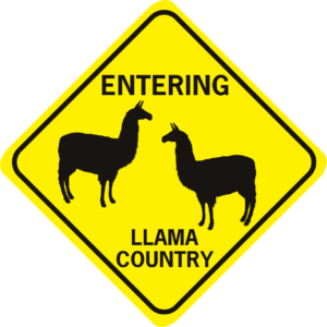 Llama Entering Llama Country