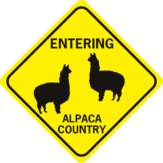 alpaca entering alpaca country