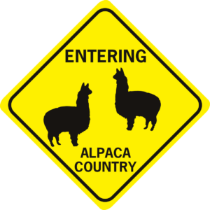 alpaca entering alpaca country