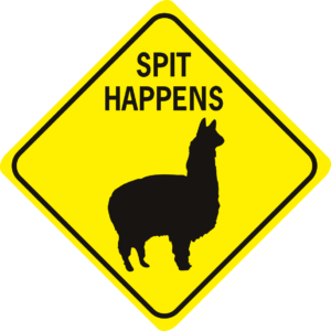 alpaca spit happens