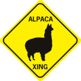 alpaca xing