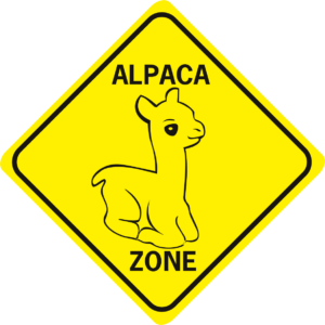 alpaca zone baby alpaca