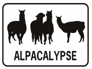 alpacalypse rectangle