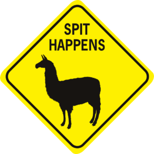 llama spit happens diamond