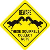 Beware Of Attack Squirrel street sign