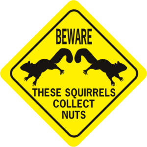 Beware Of Attack Squirrel street sign