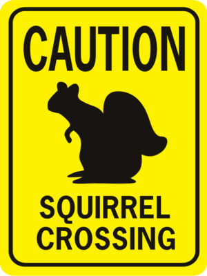 Caution Squirrel Crossing old image