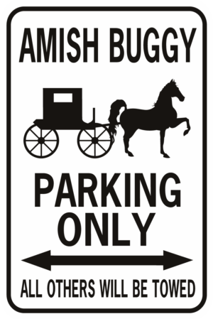 amish buggy parking black