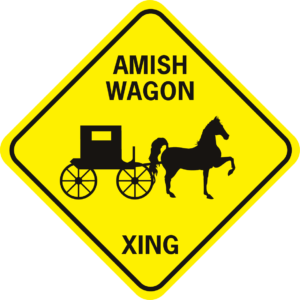 amish wagon xing prancing