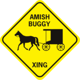 amish buggy xing trot