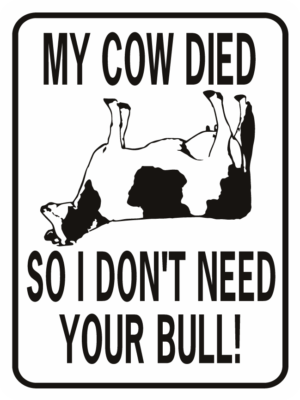 Cow My Cow Died So I DOn't Need Your Bull