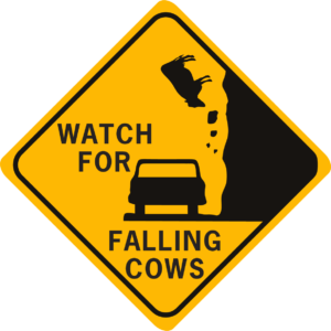cow Watch for Falling Cows