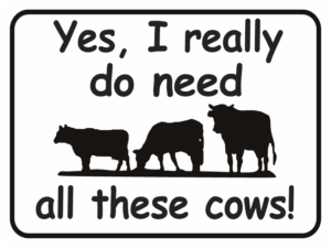 cow Yes I Really Do Need All These Cows