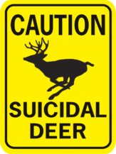 CAUTION SUICIDAL DEER