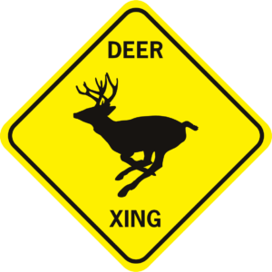 DEER XING