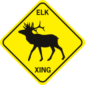 ELK XING