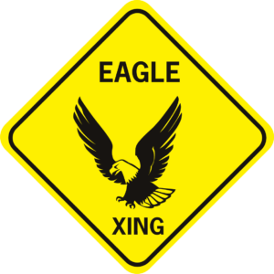 Eagle Xing