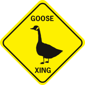 Goose Xing canada