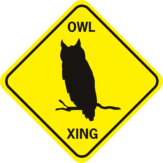 Owl Xing