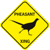 Pheasant Xing