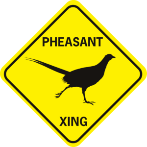 Pheasant Xing