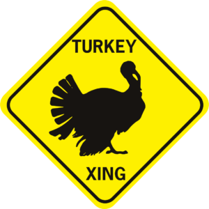 Turkey Xing