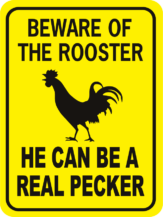 chicken Beware of the Rooster he can be a real Pecker