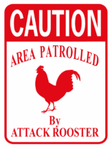 chicken Caution Area Patrolled by Attack Rooster