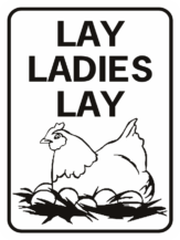 chicken Lay Ladies Lay